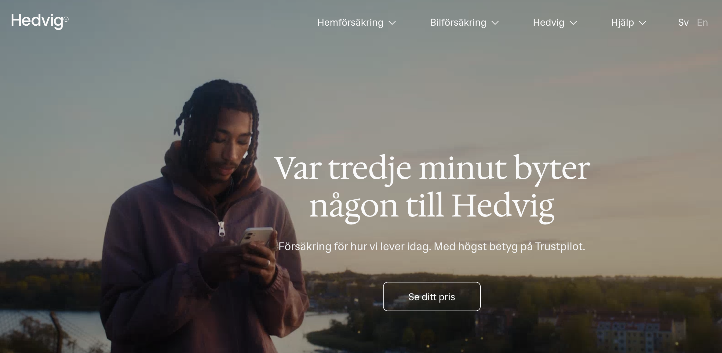 Screenshot of Hedvig website